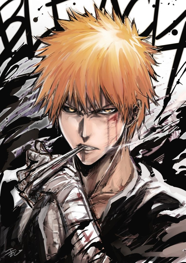 Kurosaki Ichigo Hero